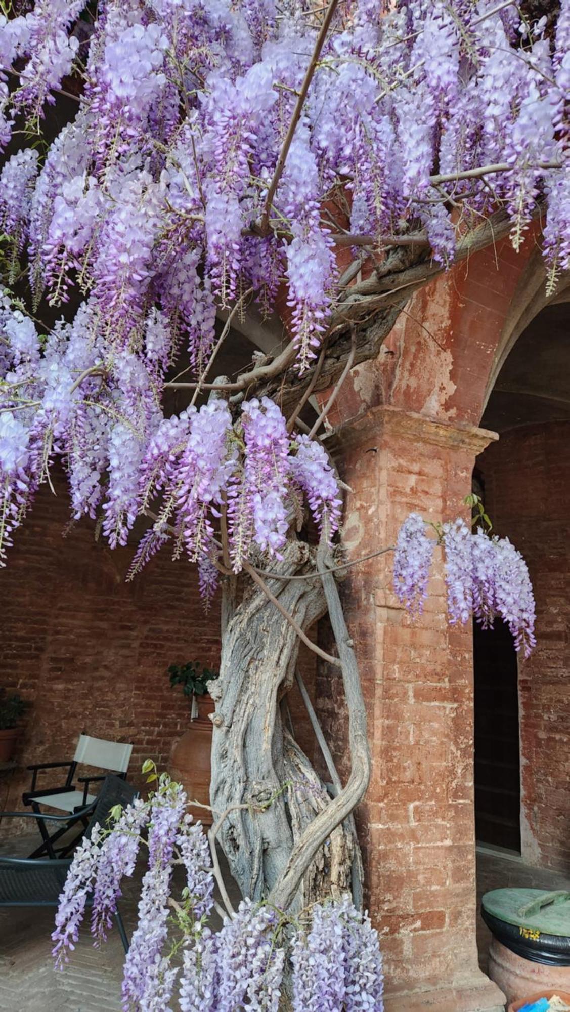 Al Glicine Di Sant'Abondio Villa Siena Esterno foto