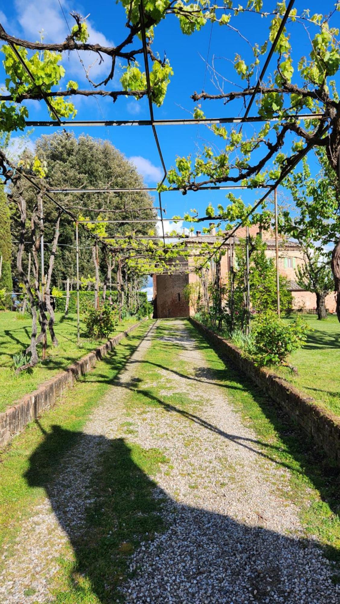 Al Glicine Di Sant'Abondio Villa Siena Esterno foto